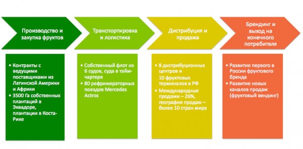 company structure. Company structure scheme